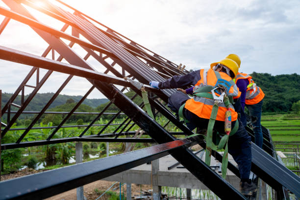 Best Roof Gutter Cleaning  in Hansville, WA