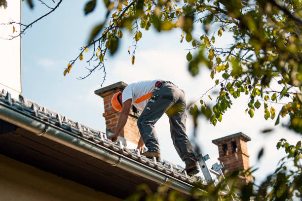 Best Roof Leak Repair  in Hansville, WA